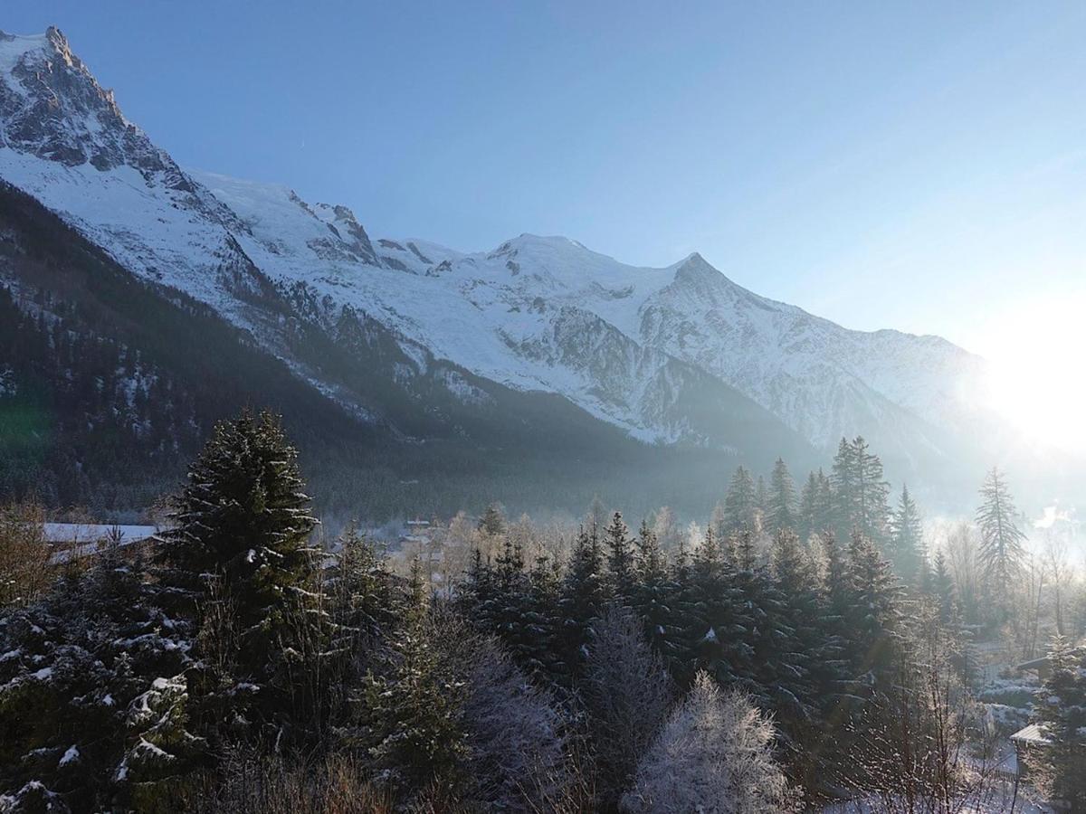 霞慕尼T4 Renove Avec Vue Mont-Blanc, 4 Etoiles, Proche Centre, Parking - Fr-1-507-62公寓 外观 照片